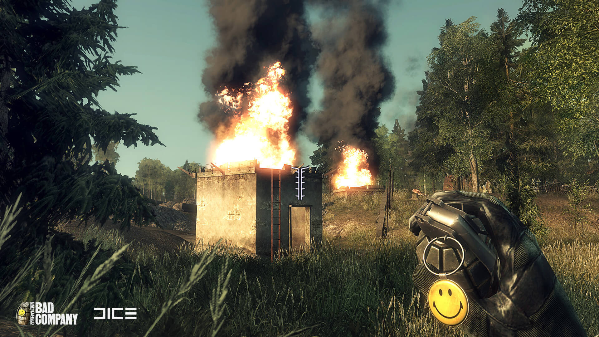 I think the smiley on the grenade was the only thing I DID like... Didn't miss it in 2 though.
