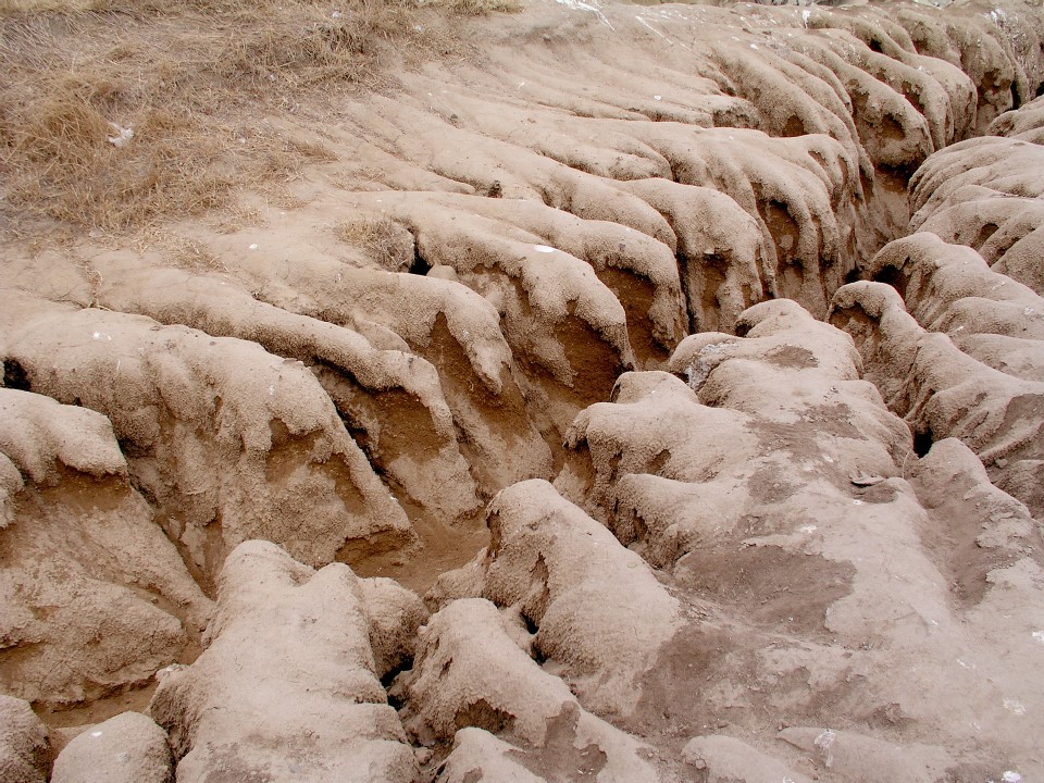 This image is clearly of some sort of rock formation, but at first glance it could be dead bodies.