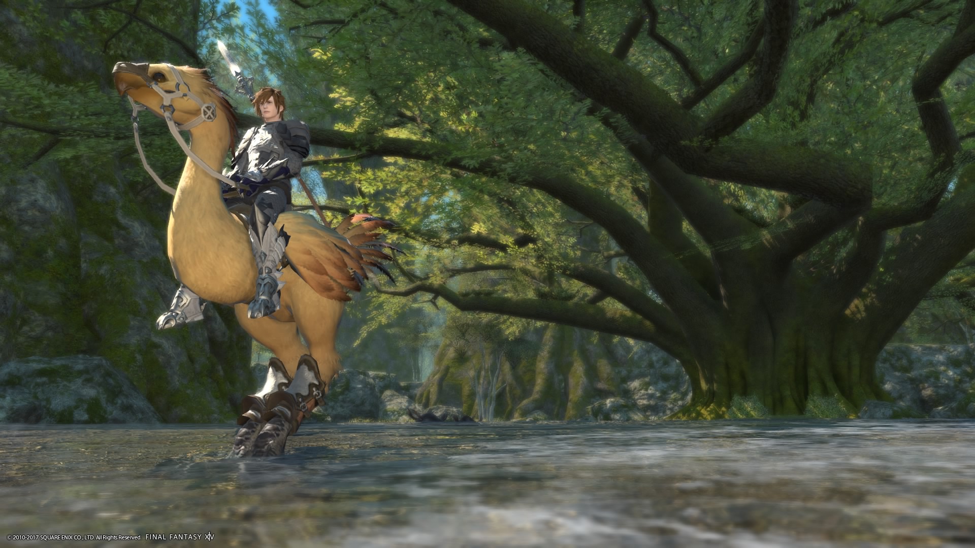 Riding my chocobo, Kato, in the central shroud.