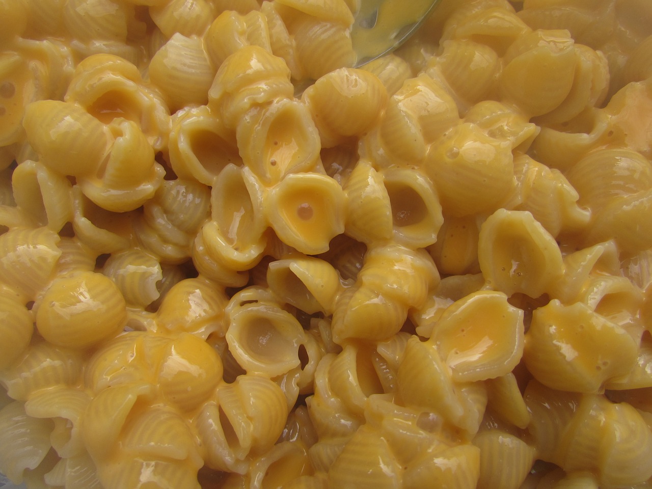 macaroni cheese by wesweaver from pixabay