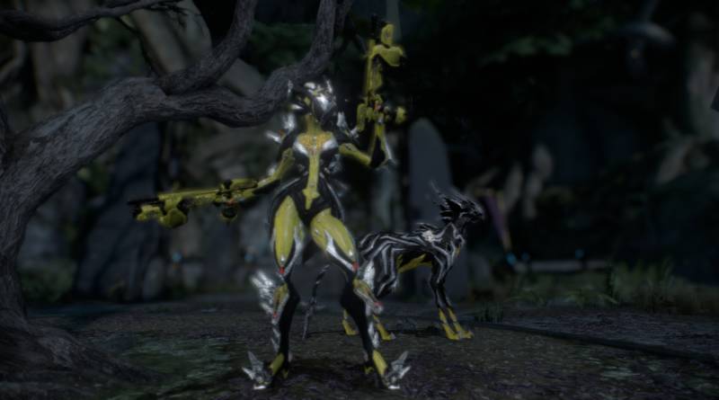 Khora and Venari