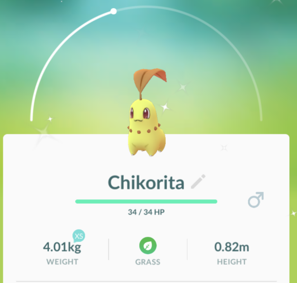 Pokemon GO Chikorita Community day - Shiny Chikorita