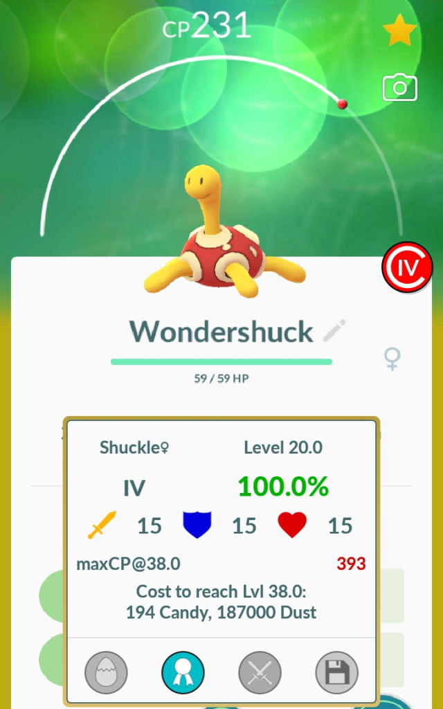 100% IVs Shuckle