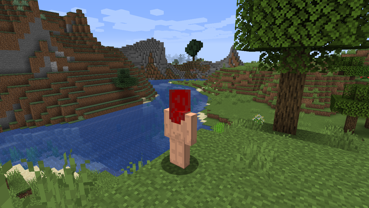 Naked mc skin