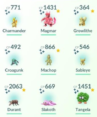 Some of the shinies I caught on the morning of the first day.