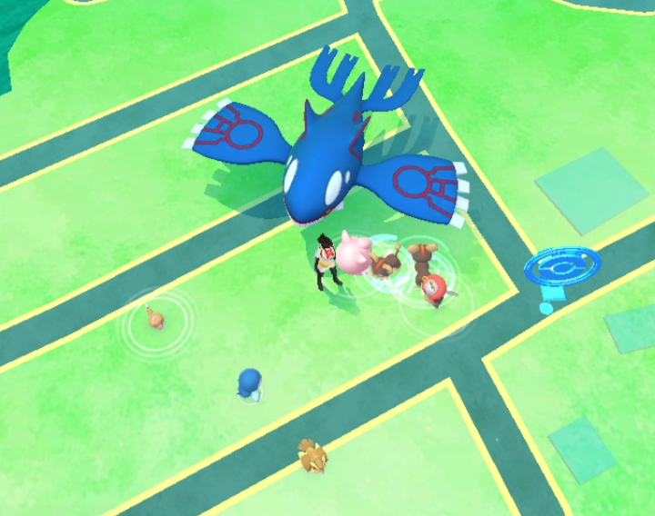 Actual image of an idiot walking a Kyogre. There's an Eevee somewhere underneath that Kyogre