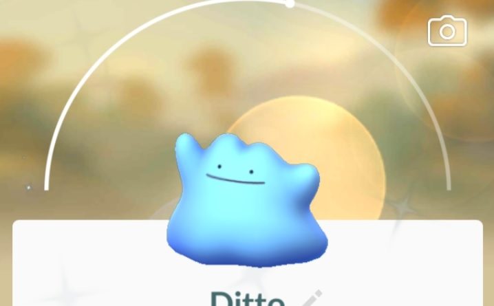 Shiny Ditto from the Kanto Tour special research