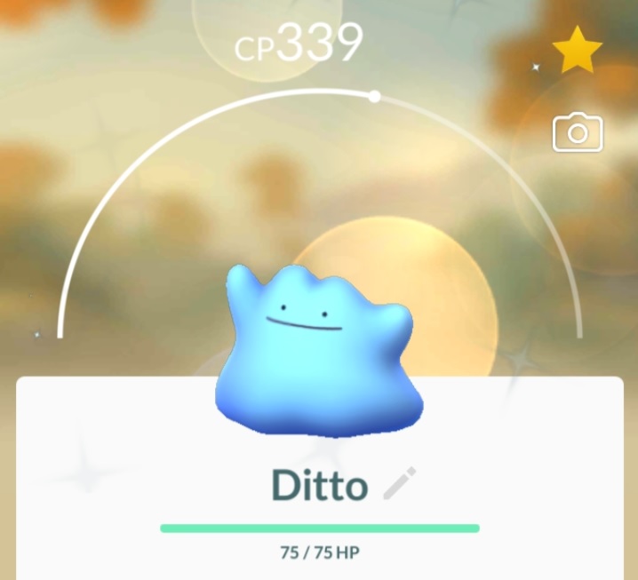 How to CATCH Ditto in August 2023! FULL Ditto disguises Pokémon Go