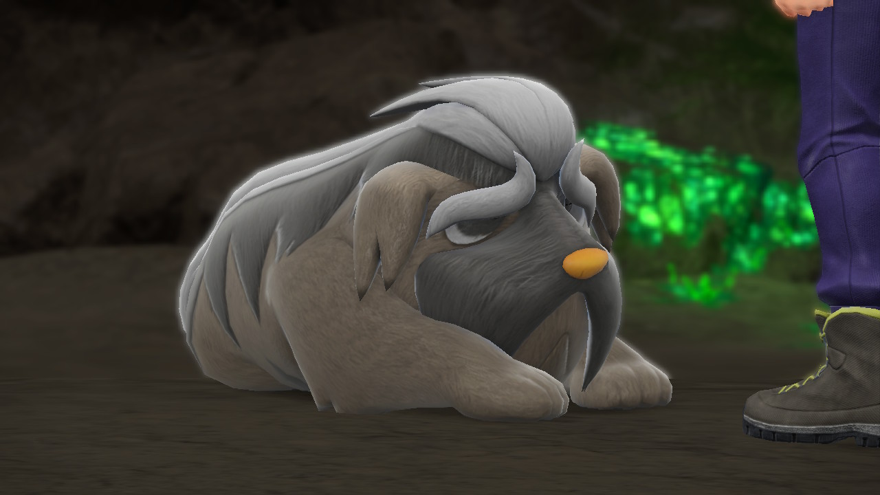 Sad old doggo :(
