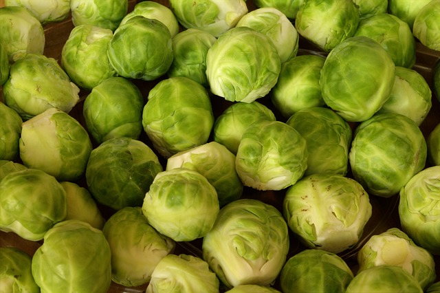Brussels Sprouts. Image by kalhh from Pixabay