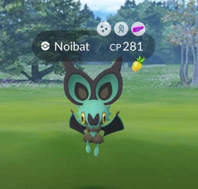 Noibat Community Day The Daily SPUF