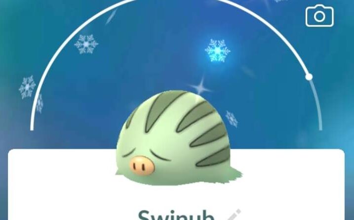 A Shiny Swinub