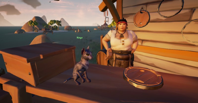 Ringo the Cat, sitting by the ship merchant