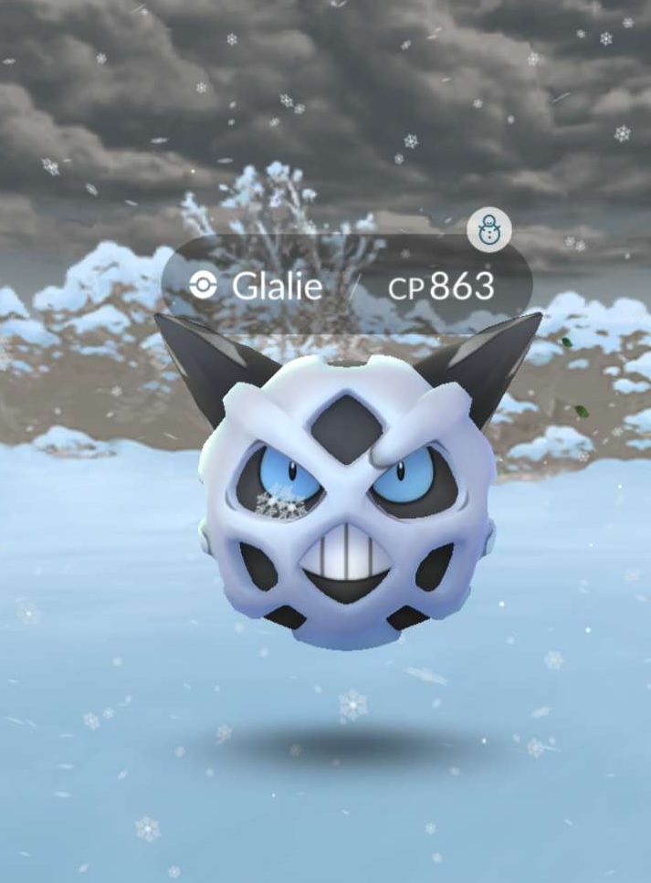 A Pokemon with Snow Weather Boost